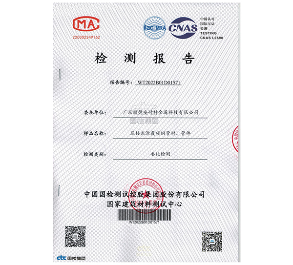 DN50檢測(cè)報(bào)告